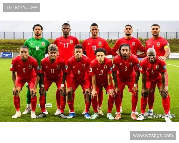 非洲队与国际队阵容对比分析揭示各自优势与战术布局